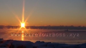 fire your boss 15